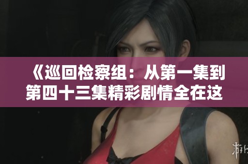 《巡回检察组：从第一集到第四十三集精彩剧情全在这里》