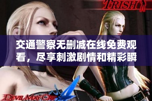 交通警察无删减在线免费观看，尽享刺激剧情和精彩瞬间