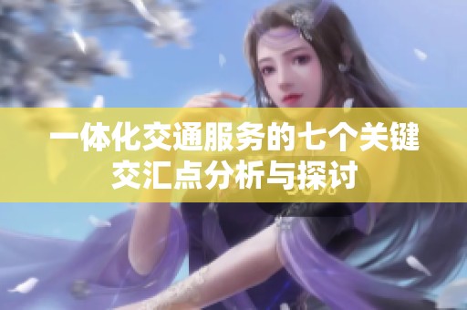 一体化交通服务的七个关键交汇点分析与探讨