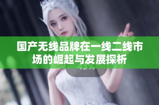 国产无线品牌在一线二线市场的崛起与发展探析