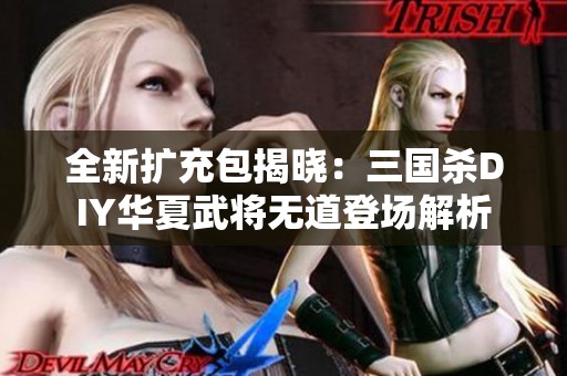 全新扩充包揭晓：三国杀DIY华夏武将无道登场解析