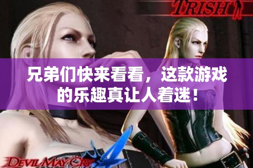 兄弟们快来看看，这款游戏的乐趣真让人着迷！