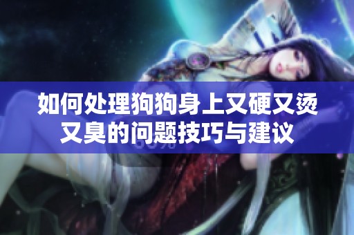 如何处理狗狗身上又硬又烫又臭的问题技巧与建议