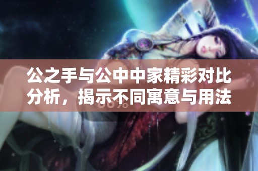 公之手与公中中家精彩对比分析，揭示不同寓意与用法