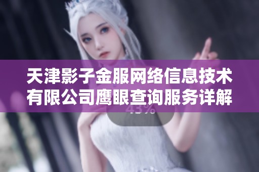 天津影子金服网络信息技术有限公司鹰眼查询服务详解与应用分析