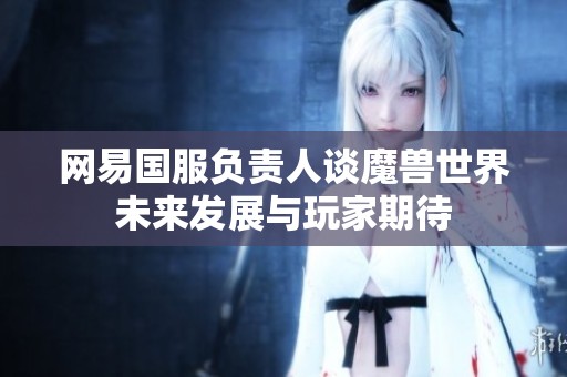 网易国服负责人谈魔兽世界未来发展与玩家期待