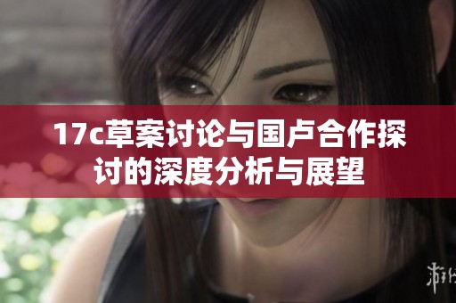 17c草案讨论与国卢合作探讨的深度分析与展望