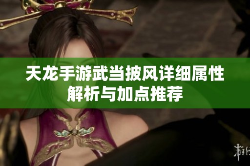天龙手游武当披风详细属性解析与加点推荐