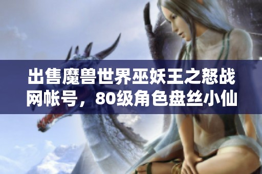 出售魔兽世界巫妖王之怒战网帐号，80级角色盘丝小仙等你来拿！
