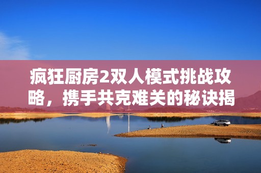 疯狂厨房2双人模式挑战攻略，携手共克难关的秘诀揭秘