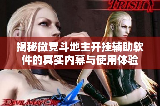 揭秘微竞斗地主开挂辅助软件的真实内幕与使用体验