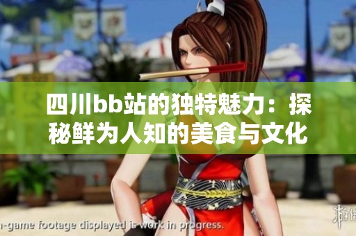 四川bb站的独特魅力：探秘鲜为人知的美食与文化