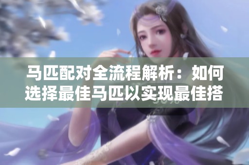马匹配对全流程解析：如何选择最佳马匹以实现最佳搭配效果