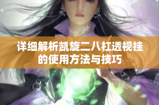 详细解析凯旋二八杠透视挂的使用方法与技巧