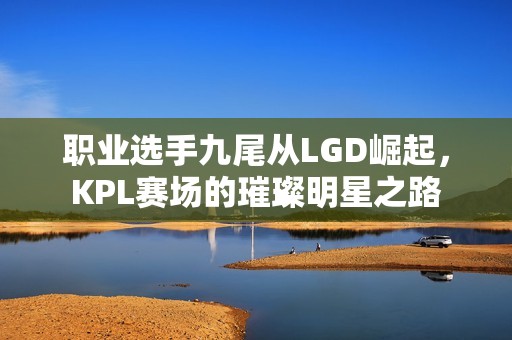 职业选手九尾从LGD崛起，KPL赛场的璀璨明星之路