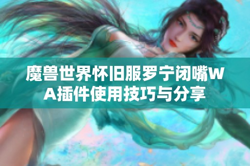 魔兽世界怀旧服罗宁闭嘴WA插件使用技巧与分享