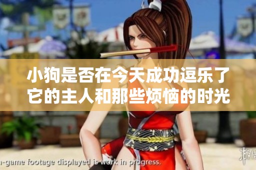 小狗是否在今天成功逗乐了它的主人和那些烦恼的时光