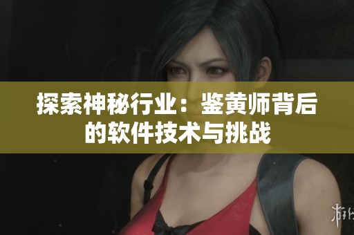 探索神秘行业：鉴黄师背后的软件技术与挑战