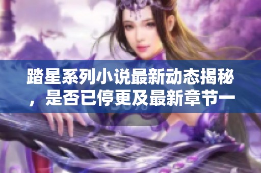 踏星系列小说最新动态揭秘，是否已停更及最新章节一览