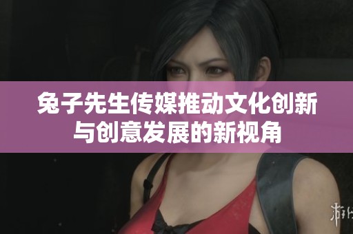 兔子先生传媒推动文化创新与创意发展的新视角