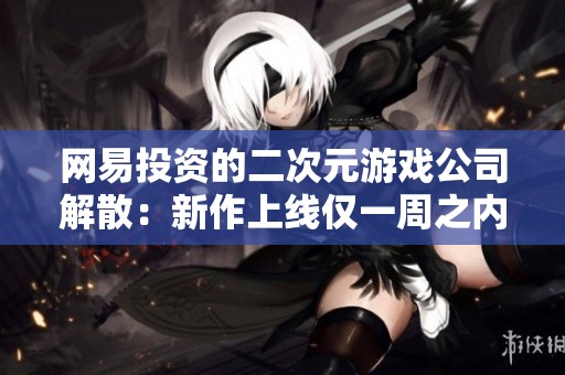 网易投资的二次元游戏公司解散：新作上线仅一周之内