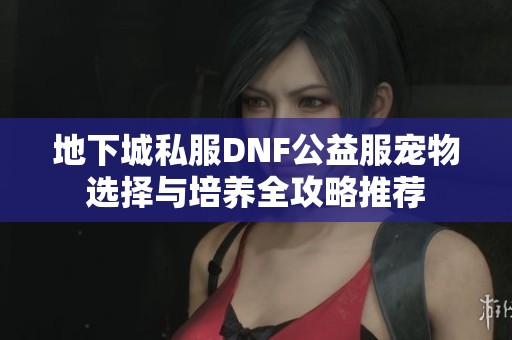 地下城私服DNF公益服宠物选择与培养全攻略推荐