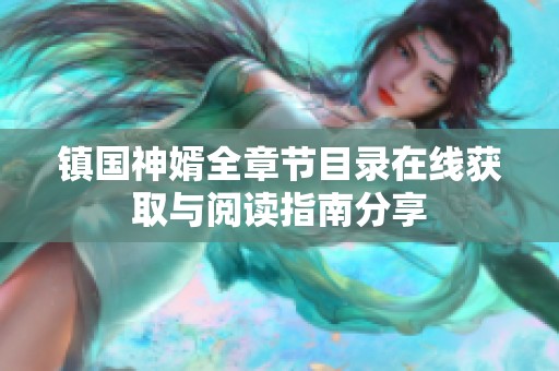 镇国神婿全章节目录在线获取与阅读指南分享
