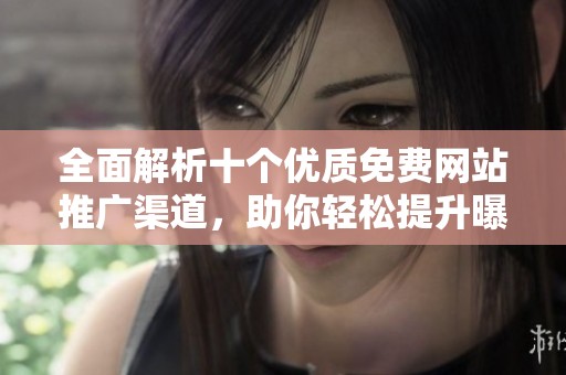 全面解析十个优质免费网站推广渠道，助你轻松提升曝光率