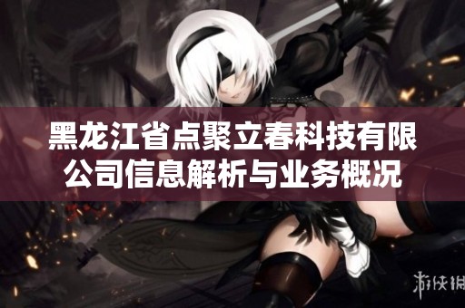 黑龙江省点聚立春科技有限公司信息解析与业务概况
