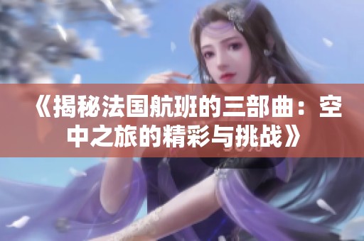 《揭秘法国航班的三部曲：空中之旅的精彩与挑战》