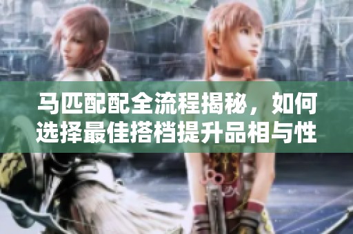 马匹配配全流程揭秘，如何选择最佳搭档提升品相与性能