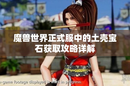 魔兽世界正式服中的土壳宝石获取攻略详解