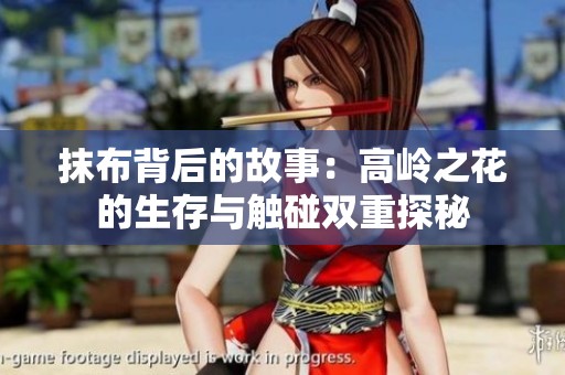 抹布背后的故事：高岭之花的生存与触碰双重探秘