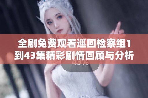 全剧免费观看巡回检察组1到43集精彩剧情回顾与分析