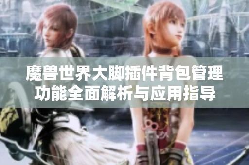 魔兽世界大脚插件背包管理功能全面解析与应用指导