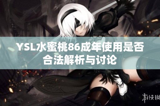 YSL水蜜桃86成年使用是否合法解析与讨论