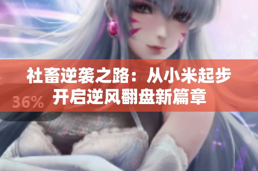社畜逆袭之路：从小米起步开启逆风翻盘新篇章