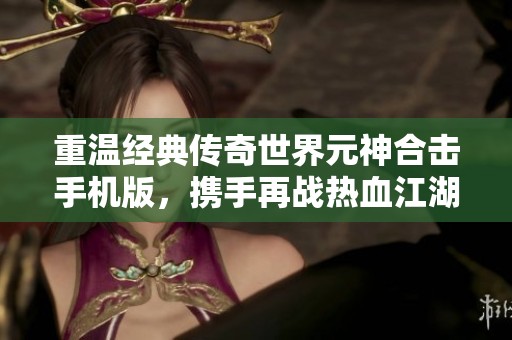重温经典传奇世界元神合击手机版，携手再战热血江湖