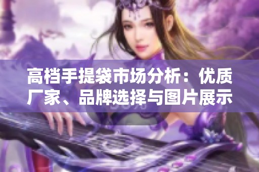 高档手提袋市场分析：优质厂家、品牌选择与图片展示