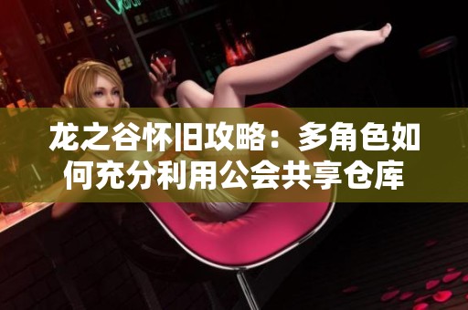 龙之谷怀旧攻略：多角色如何充分利用公会共享仓库