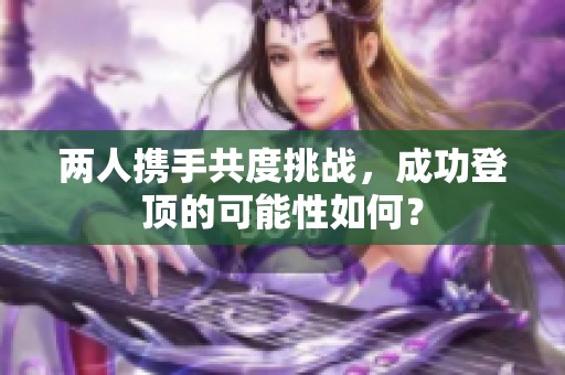 两人携手共度挑战，成功登顶的可能性如何？