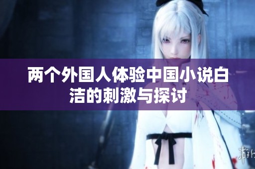 两个外国人体验中国小说白洁的刺激与探讨