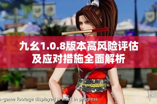 九幺1.0.8版本高风险评估及应对措施全面解析
