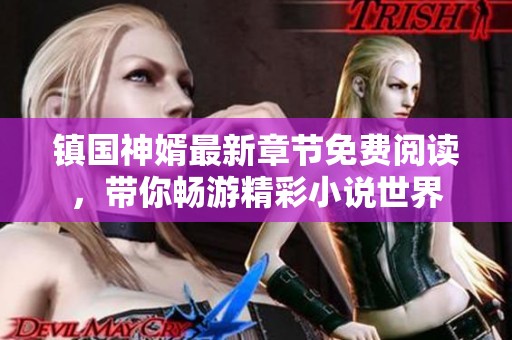 镇国神婿最新章节免费阅读，带你畅游精彩小说世界