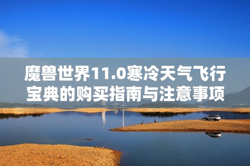 魔兽世界11.0寒冷天气飞行宝典的购买指南与注意事项