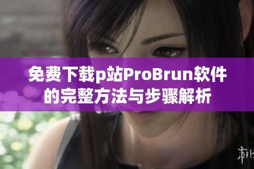 免费下载p站ProBrun软件的完整方法与步骤解析