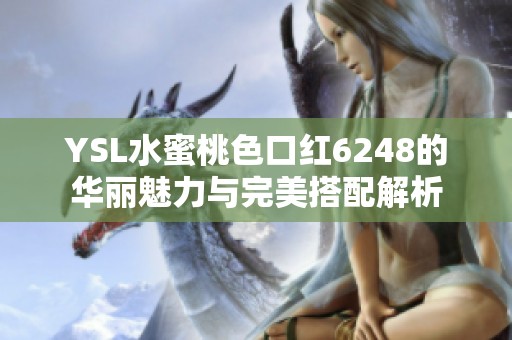 YSL水蜜桃色口红6248的华丽魅力与完美搭配解析