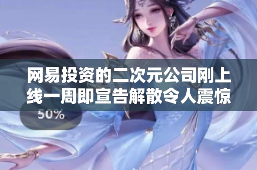 网易投资的二次元公司刚上线一周即宣告解散令人震惊