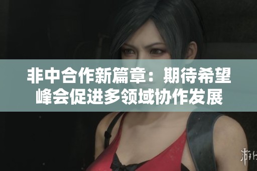 非中合作新篇章：期待希望峰会促进多领域协作发展