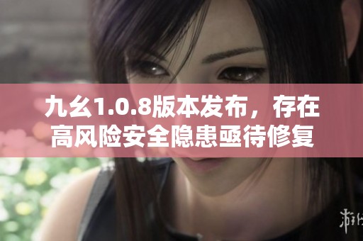 九幺1.0.8版本发布，存在高风险安全隐患亟待修复
